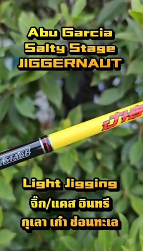 ABU Salty Jig Rod