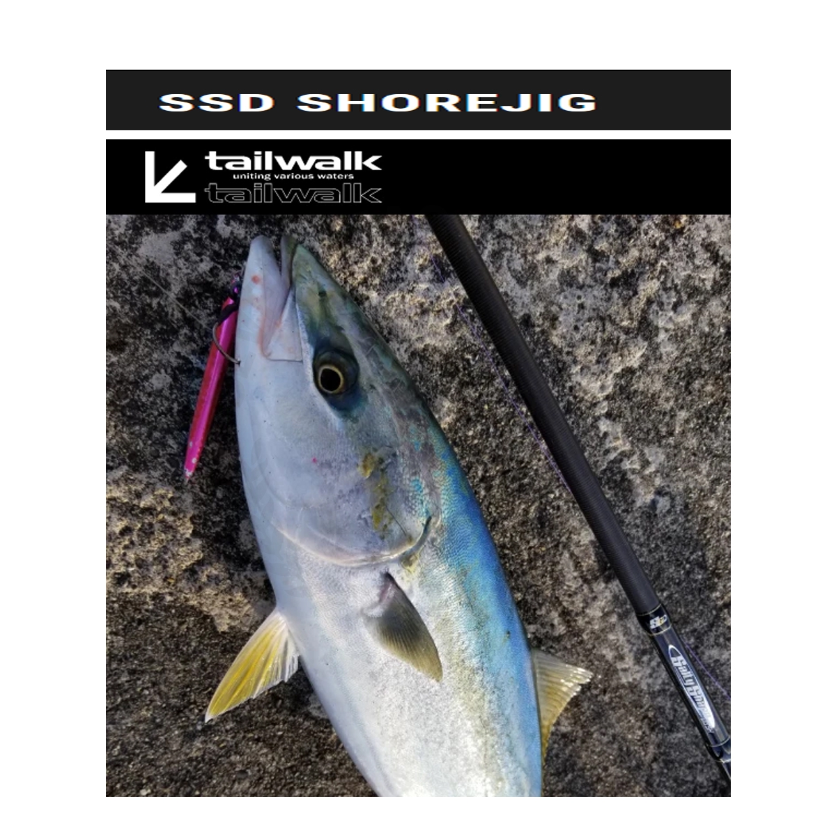 TAILWALK SSD SHORE Jigging 90ML*Spinning - 7 SEAS PROSHOP