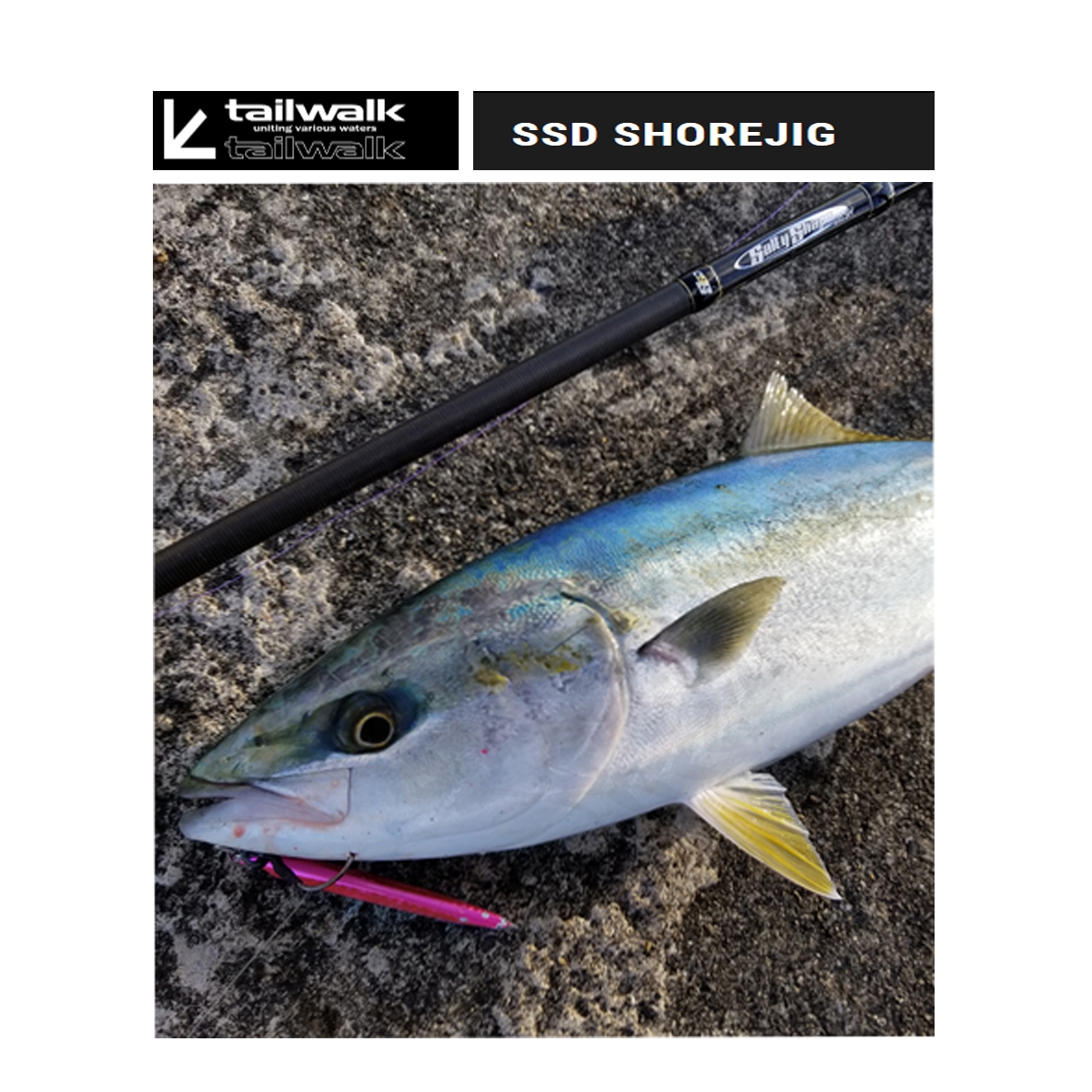 TAILWALK SSD SHORE Jigging 90ML*Spinning - 7 SEAS PROSHOP