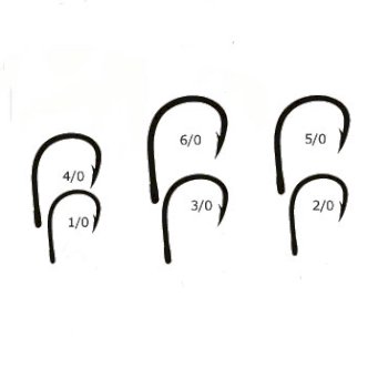 Round Neck T-shirts